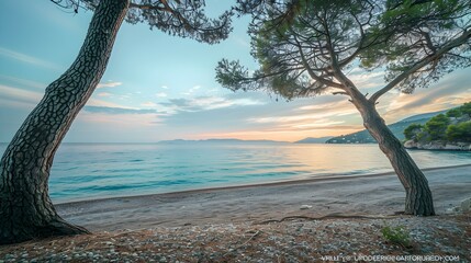 Sticker - Dawn on the turquoise coast where the first rays picture