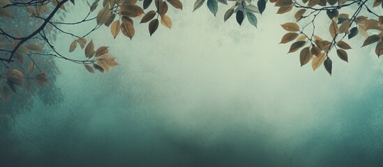 Aufkleber - Leaves on a tree with a blank space for text or graphics known as a copy space image.