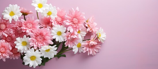 Aufkleber - A stunning chrysanthemum bouquet for spring occasions. Copy space image.