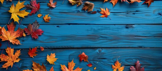 Fototapete - Rustic blue wooden table adorned with vibrant fall maple leaves, ideal for Thanksgiving holidays. Top view frame featuring autumn leaves with ample copy space image.