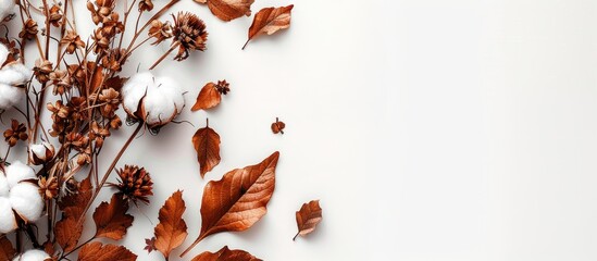 Aufkleber - Autumn-themed arrangement with cotton flowers and dried leaves on a white background, emphasizing the fall season. Top view with ample copy space image.