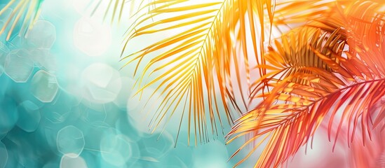 Leinwandbilder - Colorful tropical palm leaf with copy space image on background