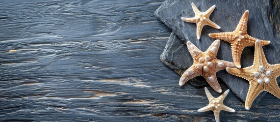 Aufkleber - Flat lay composition featuring starfish on a rustic wooden surface with a blank black paper for copy space image.