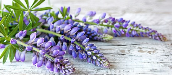 Aufkleber - Beautiful lupine flowers on a clean white wooden surface featuring a copy space image.