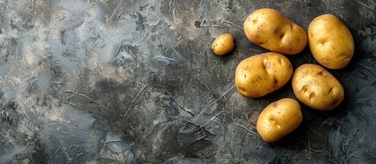 Poster - Fresh potatoes arranged on a weathered concrete surface, highlighting a food background with ample copy space in a top-down view.
