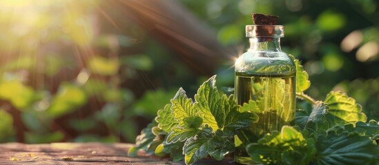 Sticker - Capture genuine organic citronella or lemon balm leaves' natural essential oils into a protective anti-UV glass bottle against a light, clean oak tree background, with copy space image.