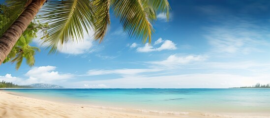 Poster - Tropical beach scene with palm tree border against the backdrop. Copy space image available.