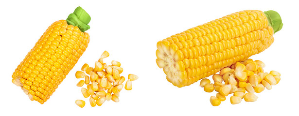 Wall Mural - ear of corn isolated on a white background. Clipping path. Top view. Flat lay