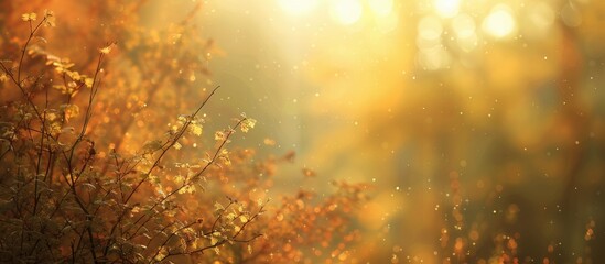 Poster - Autumn sets against a radiant, blurred backdrop with copy space image available.