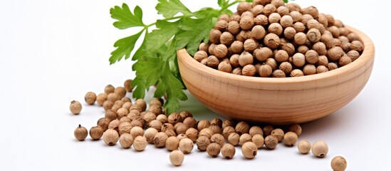 Poster - Coriander seeds isolated against white with copy space image.