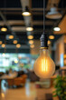 © Daniil - Modern office with warm lighting and stylish decor. Focus on the hated light bulb. Copy space for text