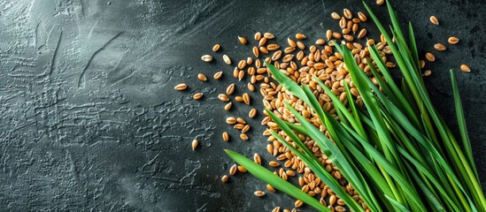 Aufkleber - Adopt a healthy lifestyle by sprouting wheat seeds to grow wheatgrass juice, enriching your raw diet nutrition with a copy space image of biological wheat seeds.