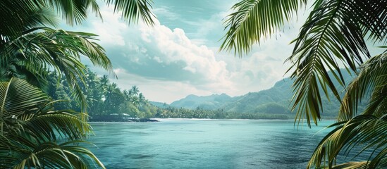 Poster - Tranquil panorama with palm trees framing a copy space image.