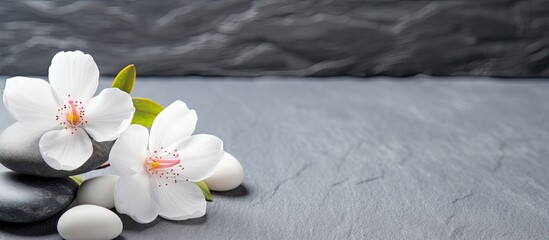 Poster - Towel background with spa stones and spring flowers, perfect for a copy space image.