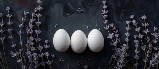 Poster - View from above of three white Easter eggs displayed on a dark background with lavender for a copy space image.