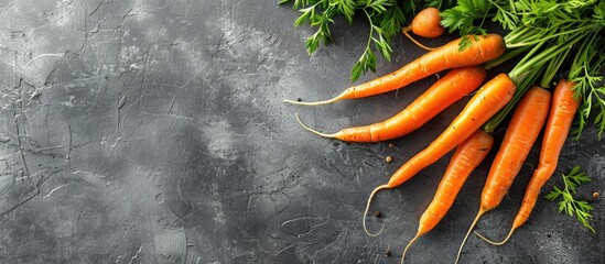 Poster - A healthy eating concept featuring fresh carrots on a gray background, creating a frame of vegetables on a table in a raw and organic food copy space image.