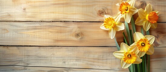 Poster - Fresh daffodils composition on wooden backdrop with copy space image.