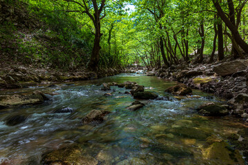 Sticker - stream in the forest