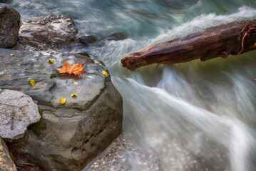 Wall Mural - Rocks and woods into river 