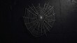 © xKas - Halloween-themed spider web shadow on black wall