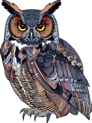 Wall Mural - owl illustration isolated on transparent background. 
