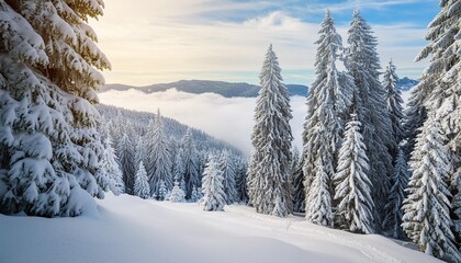 Wall Mural - amazing mystical rising fog sky forest snow snowy trees landscape snowscape in black forest schwarzwald winter germany panorama banner mystical snow mood generative ai