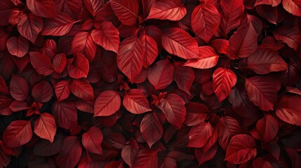 background of red leaves