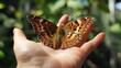 © CryptoCanvas - A lovely butterfly resting on my hand