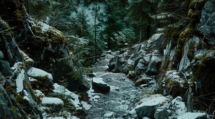 Poster - water flowing through the forest