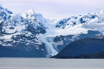 Sticker - College Fjord, Alaska