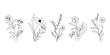 © babeer - minimal line flower and botanical graphic sketch drawing, trendy tiny tattoo design, floral elements vector illustration