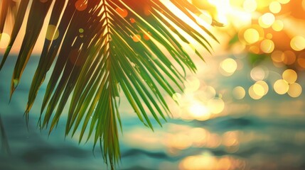 Canvas Print - Blurred tropical beach with green palm leaf sunset and bokeh light Vintage summer vacation concept