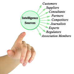 Sticker -  Nine Intelligence Sources for Business