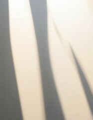 Fototapete - background, gentle aesthetics, shadow on the wall