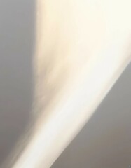 Fototapete - background, gentle aesthetics, shadow on the wall