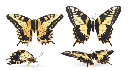 Aufkleber - A collection of colorful butterflies perched on a clean white surface