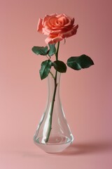 Poster - A single long-stemmed rose sits in a clear glass vase against a soft pink background