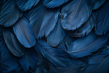 Wall Mural - beautiful blue color fashion background with close up of parrot feathers in dark and light, abstract