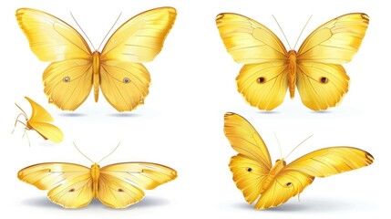 Poster - A cluster of bright yellow butterflies on a pure white background, ideal for use in design projects or as a decorative element
