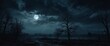 © Den Boro Day - Epic spooky night scene with a full moon shining on a misty stormy sky Horror concept art.