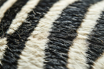 Poster - A close up of the back skin texture of a zebra, focusing on its distinctive striped pattern. The background is plain white to highlight the unique striped design of the zebra's fur. 