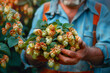 © Anna - Traditional German hop harvester examines golden hops isolated on a gradient background symbolizing Oktoberfest beer preparation