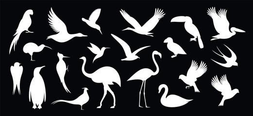 Wall Mural - Wild Bird set. Bird Silhouette