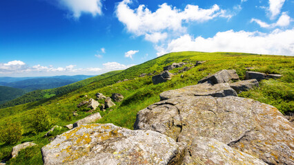 Wall Mural - alpine scenery of transcarpathia in summer. green highlands of ukraine. stones on the hillside. sunny day. landscape of carpathian mountains