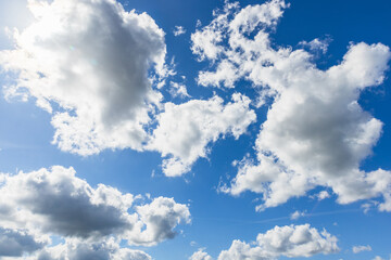 Wall Mural - blue sky with cumulus clouds on a sunny summer day