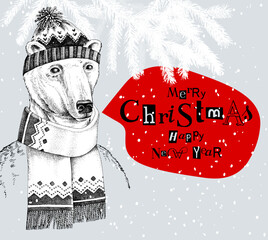 Wall Mural - Christmas card with dressed up polar bear