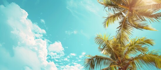 Poster - A summery travel background featuring palm trees against a blue sky with copy space image