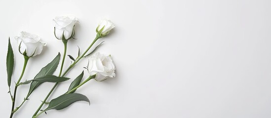 Fototapete - Postcard mockup featuring eustoma flowers on a pristine white background offering a blank copy space image for an invitation card with intricate details