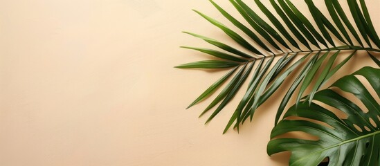 Aufkleber - Flat lay with a tropical vibe featuring a palm leaf on a soft beige background perfect for a copy space image