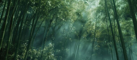 Aufkleber - Izu s Shuzenji features a mesmerizing bamboo forest creating a picturesque backdrop showcasing its beauty ideal for a copy space image